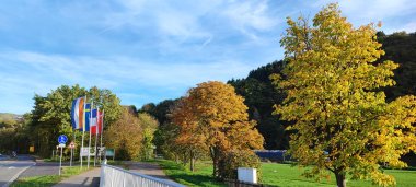 Bild zeigt Grünanlage von Mehring an der Mosel. Im Bild sind Flaggen zu sehen