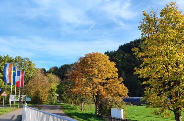 Bild zeigt Grünanlage von Mehring an der Mosel. Im Bild sind Flaggen zu sehen