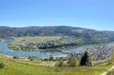 Bild zeigt Mehring und im Hintergrund die Mosel 