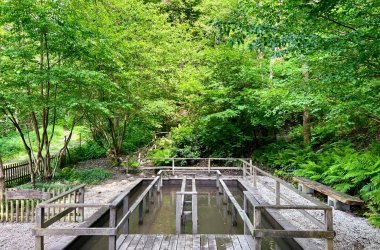 Bild zeigt das Wassertretbecken in der Frontalansicht