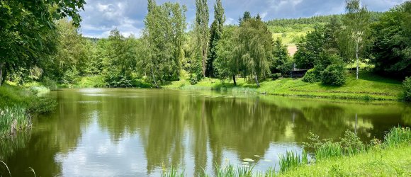 Ausschnitt vom Angelweiher in Mehring