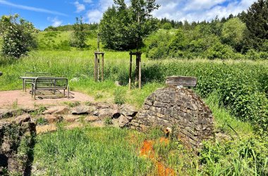 Bild zeigt den Sauerbrunnen von Mehring